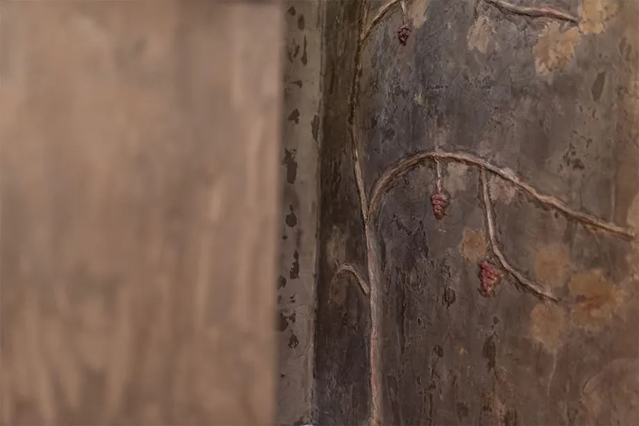 Enduit décoratif en Mortex : une vigne dans l’escalier de cave
